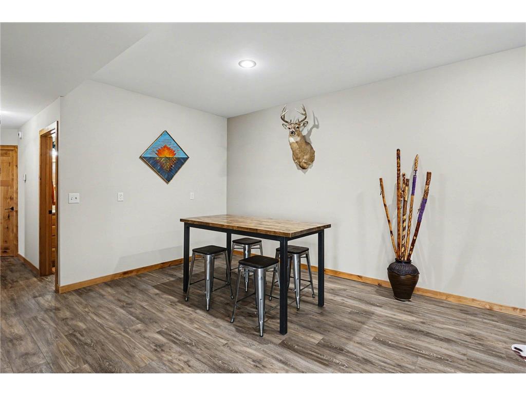 13347 County 1 Boulevard Vasa Twp MN 55009 7059054 image17