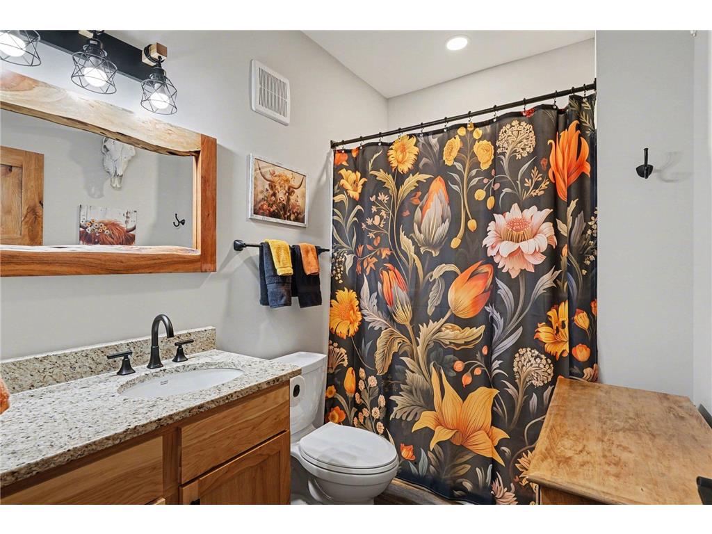 13347 County 1 Boulevard Vasa Twp MN 55009 7059054 image20