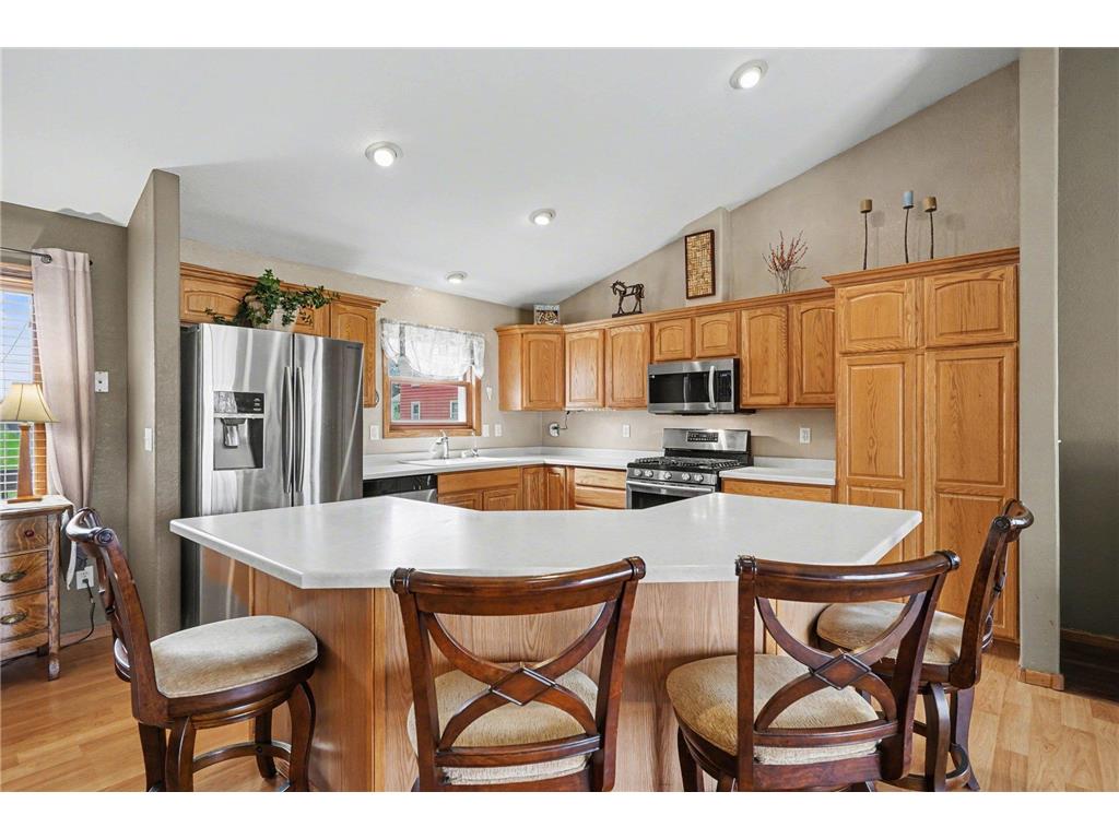13347 County 1 Boulevard Vasa Twp MN 55009 7059054 image6