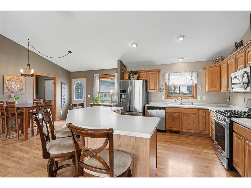 13347 County 1 Boulevard Vasa Twp MN 55009 7059054 image8
