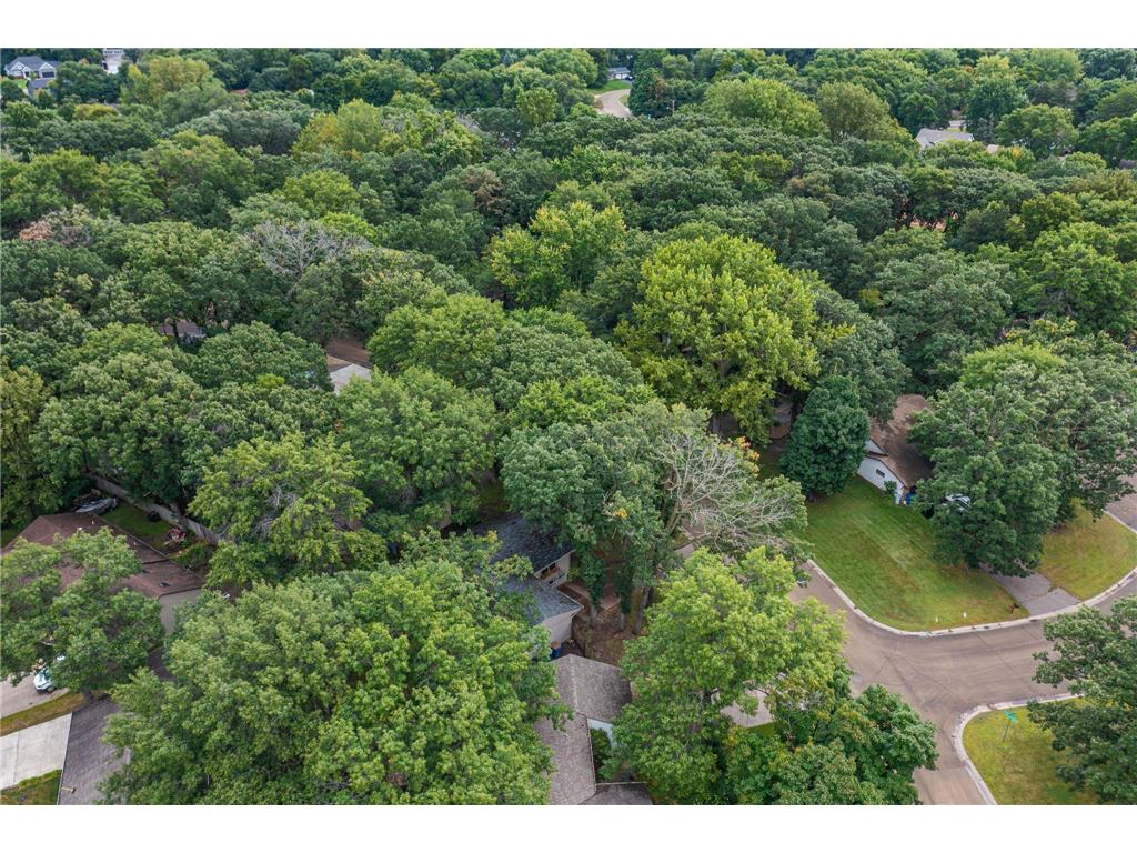 13348 Linwood Forest Circle Champlin MN 55316 7031935 image27