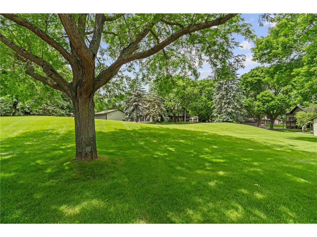 13359 Zenith Lane Eden Prairie MN 55346 7096348 image4