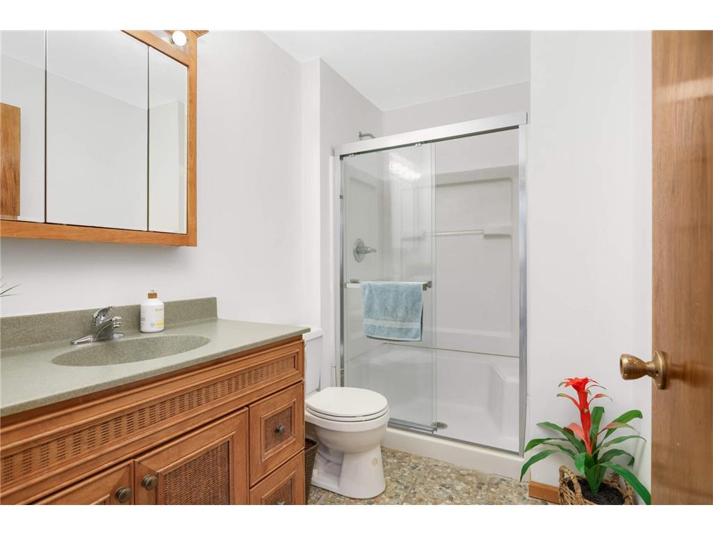 13360 Wellington Circle Champlin MN 55316 7016494 image23