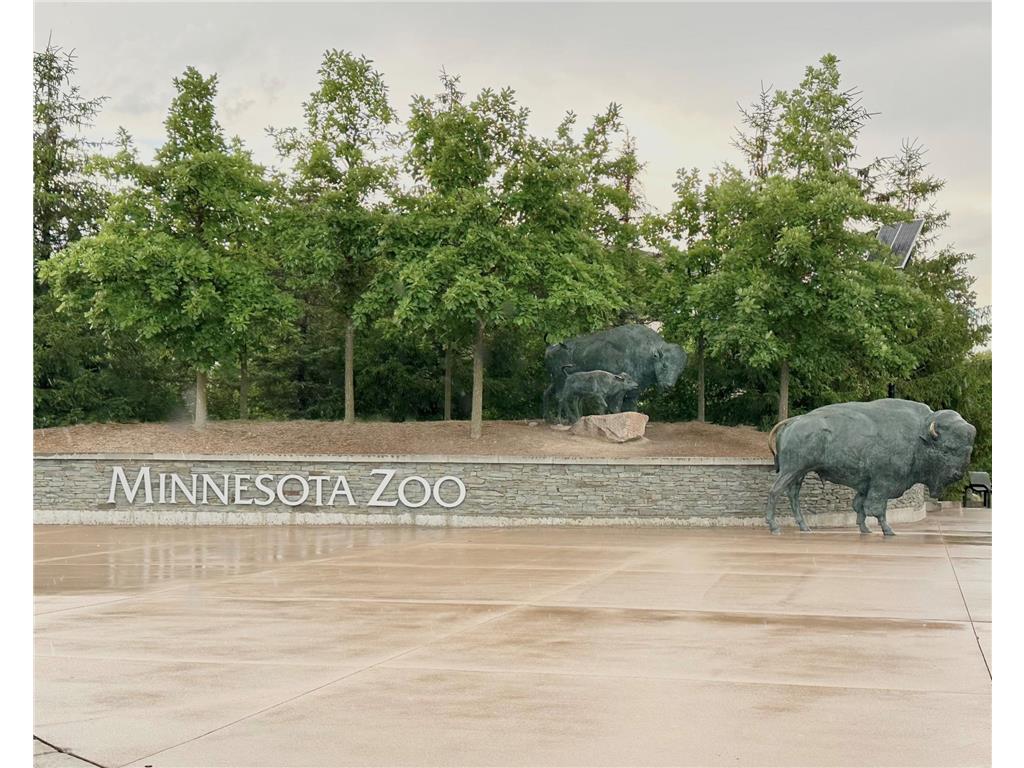 13361 Applewood Trail Rosemount MN 55068 7005450 image42