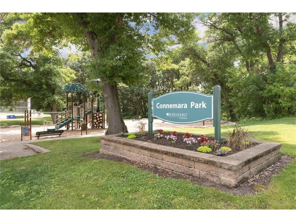 13361 Couchtown Court Rosemount MN 55068 7077902 image57