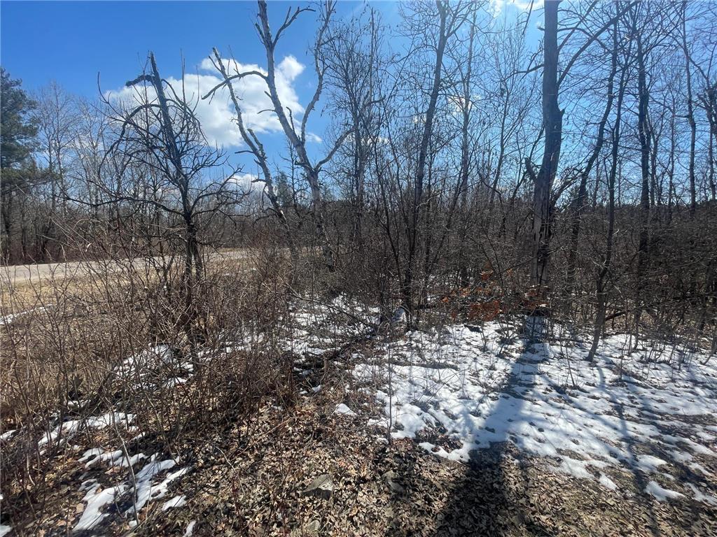 13369 Arrowhead Drive SW Sylvan Twp MN 56473 7053788 image2