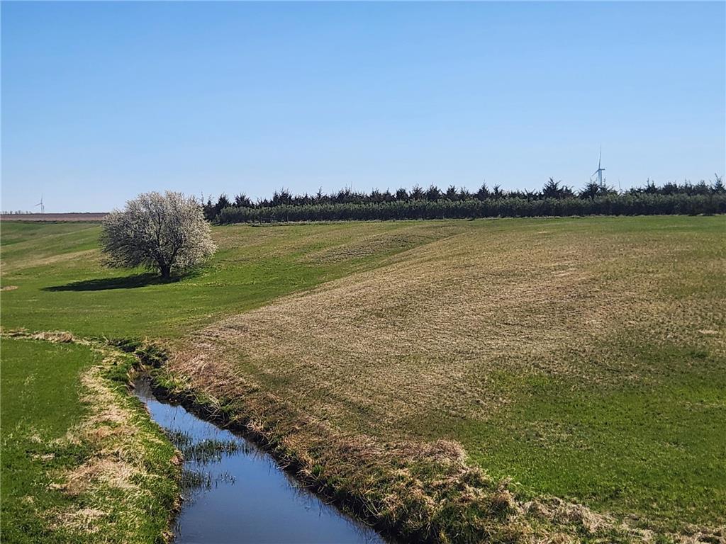 1338 140th Avenue Rock Twp MN 56139 7072956 image13
