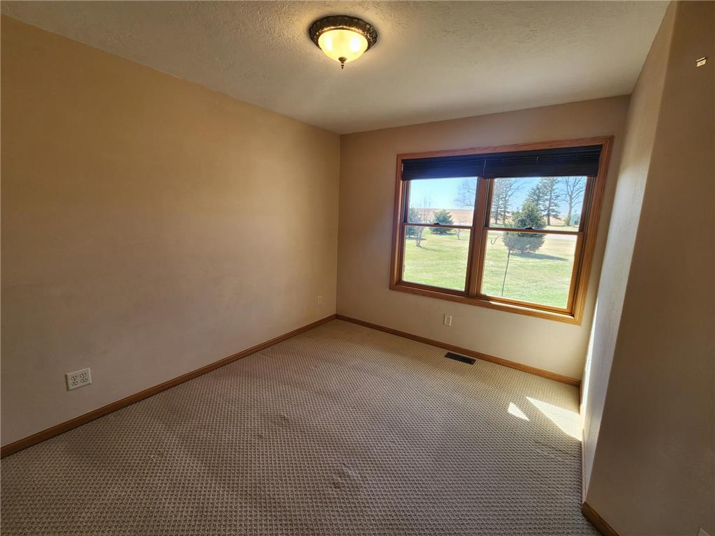 1338 140th Avenue Rock Twp MN 56139 7072956 image24