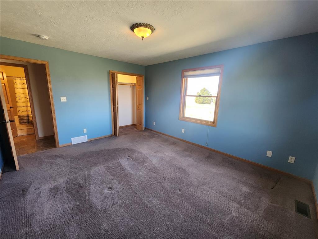 1338 140th Avenue Rock Twp MN 56139 7072956 image33
