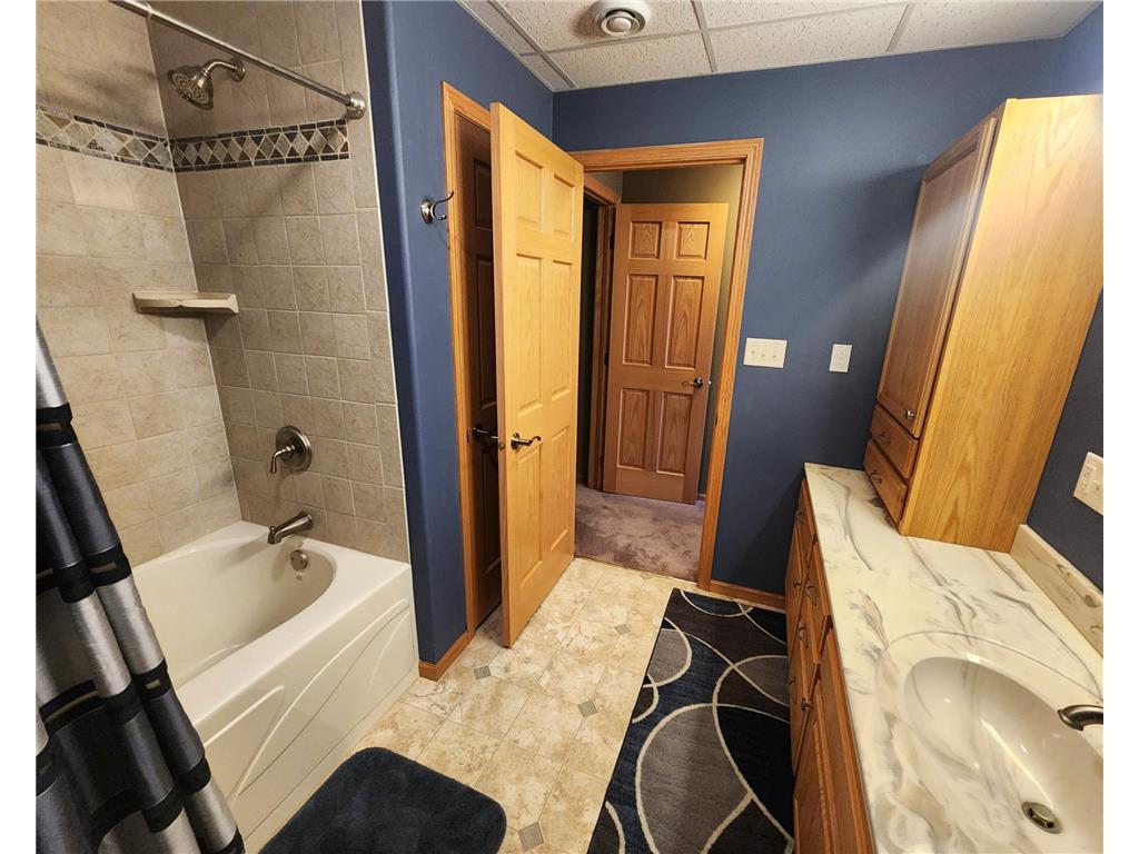 1338 140th Avenue Rock Twp MN 56139 7072956 image44