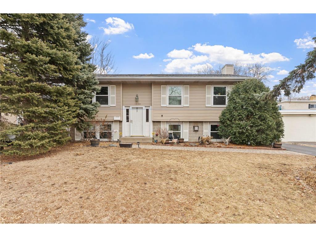 1338 Kruse Street West Saint Paul MN 55118 6675874 image1