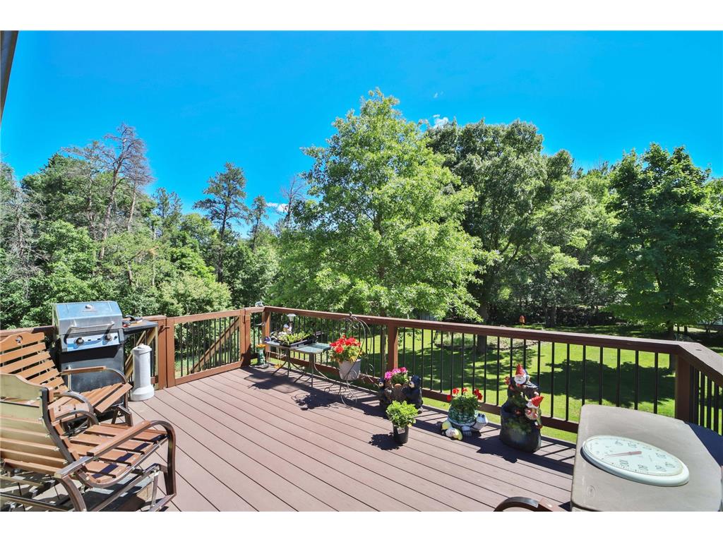 13384 Birch Drive Baxter MN 56425 7094982 image42