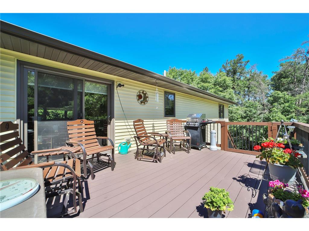 13384 Birch Drive Baxter MN 56425 7094982 image43