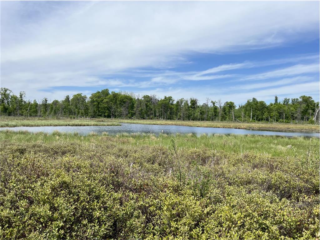 13384 Sorenson Lake Road Center Twp MN 56465 - Spider Lake 7085108 image1