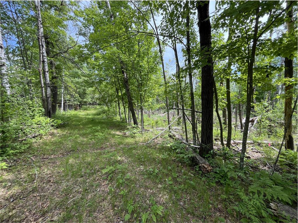 13384 Sorenson Lake Road Center Twp MN 56465 - Spider Lake 7085108 image12