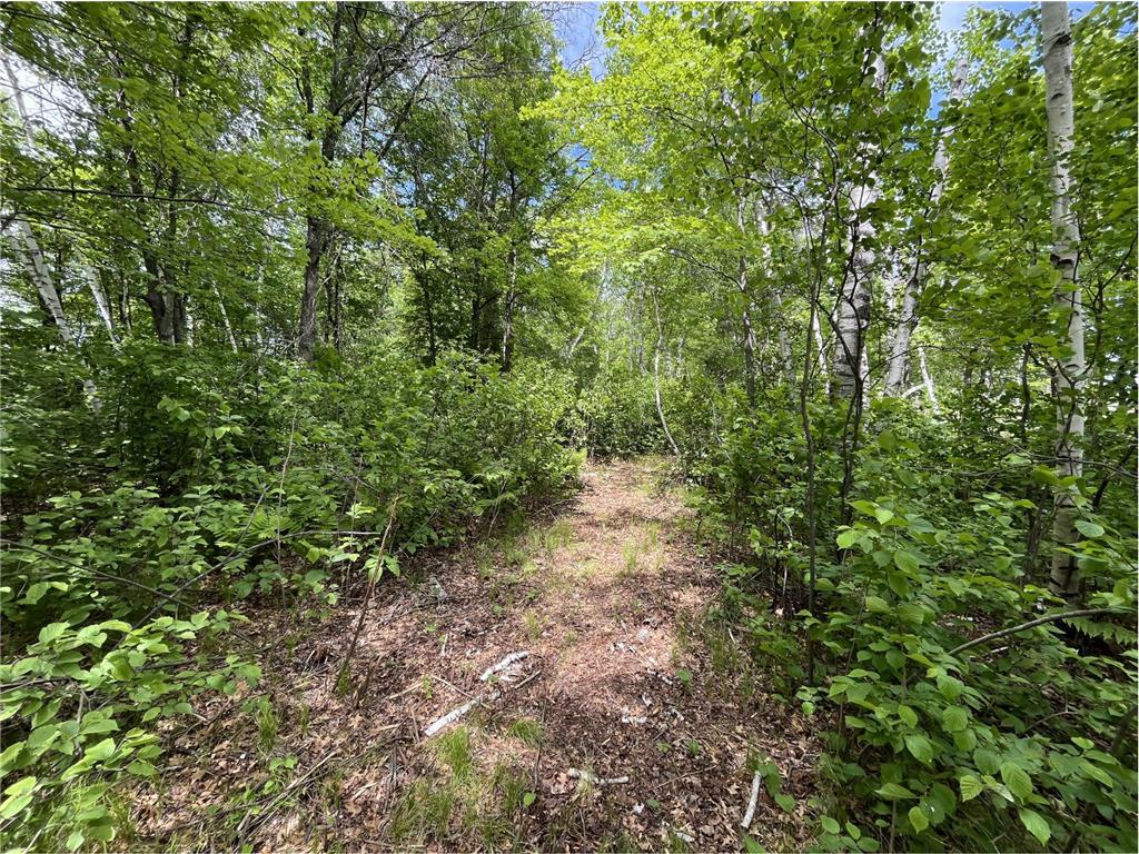 13384 Sorenson Lake Road Center Twp MN 56465 - Spider Lake 7085108 image13