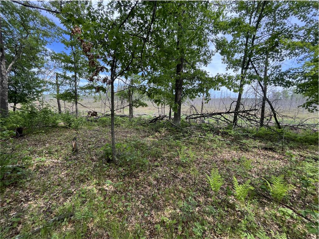 13384 Sorenson Lake Road Center Twp MN 56465 - Spider Lake 7085108 image14