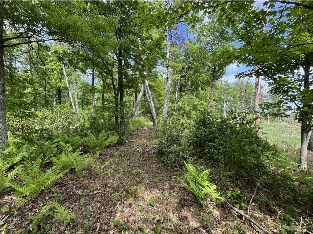 13384 Sorenson Lake Road Center Twp MN 56465 - Spider Lake 7085108 image15