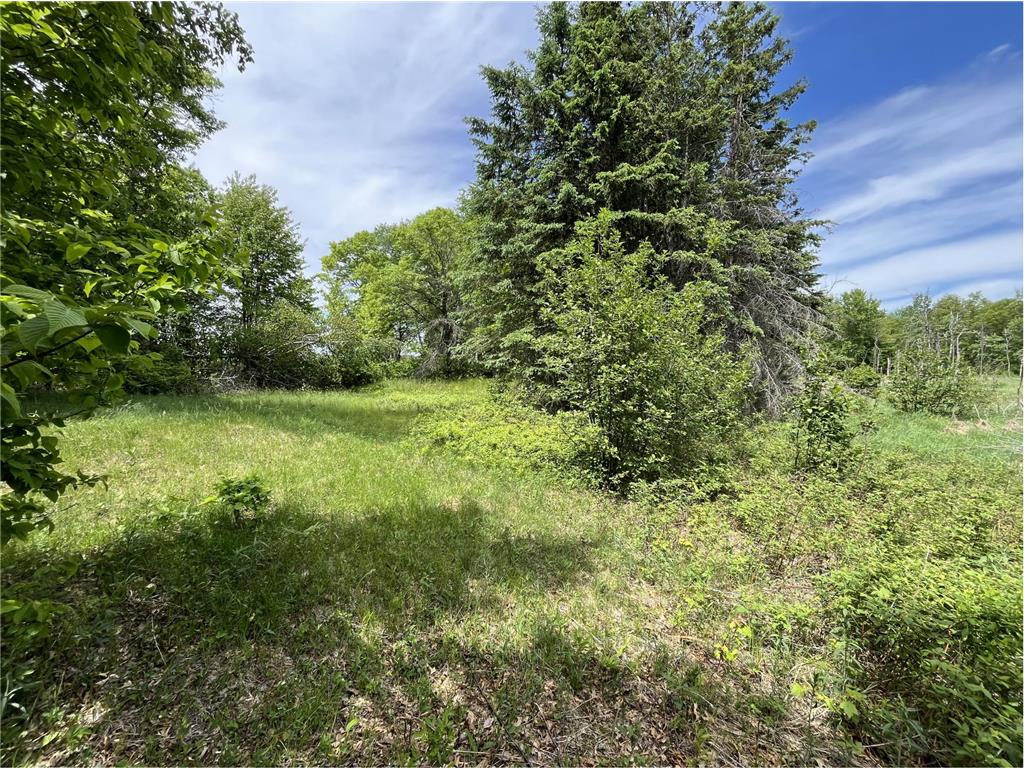 13384 Sorenson Lake Road Center Twp MN 56465 - Spider Lake 7085108 image16