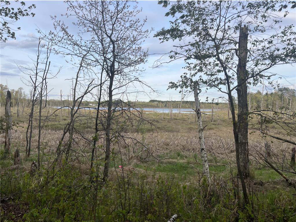13384 Sorenson Lake Road Center Twp MN 56465 - Spider Lake 7085108 image18