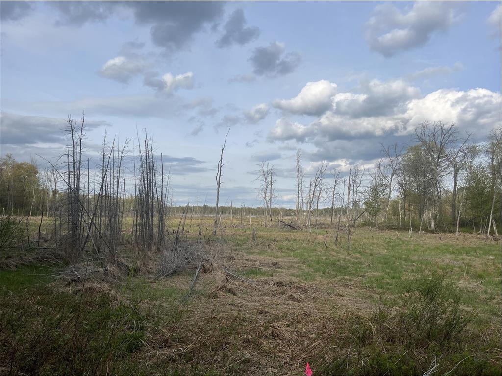 13384 Sorenson Lake Road Center Twp MN 56465 - Spider Lake 7085108 image19