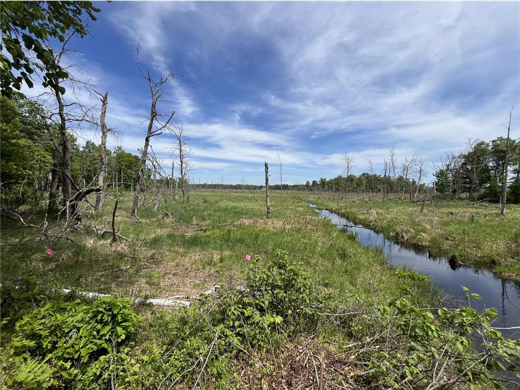 13384 Sorenson Lake Road Center Twp MN 56465 - Spider Lake 7085108 image2
