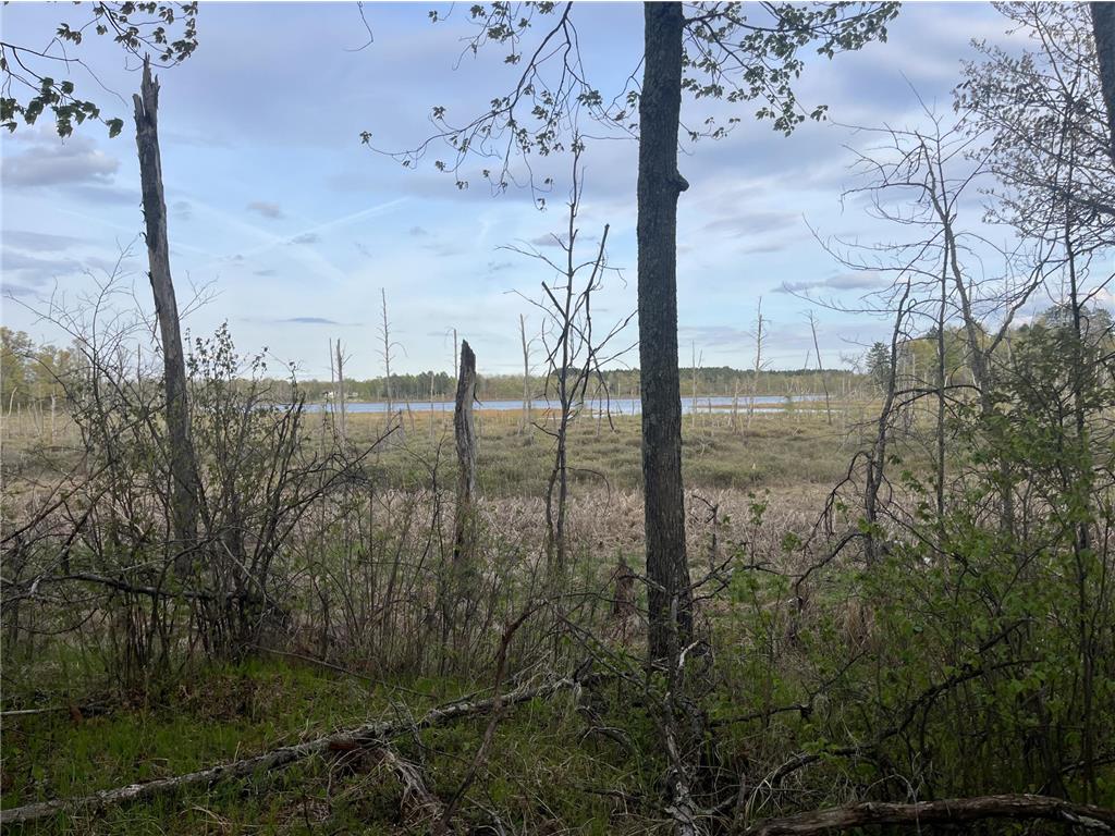 13384 Sorenson Lake Road Center Twp MN 56465 - Spider Lake 7085108 image20