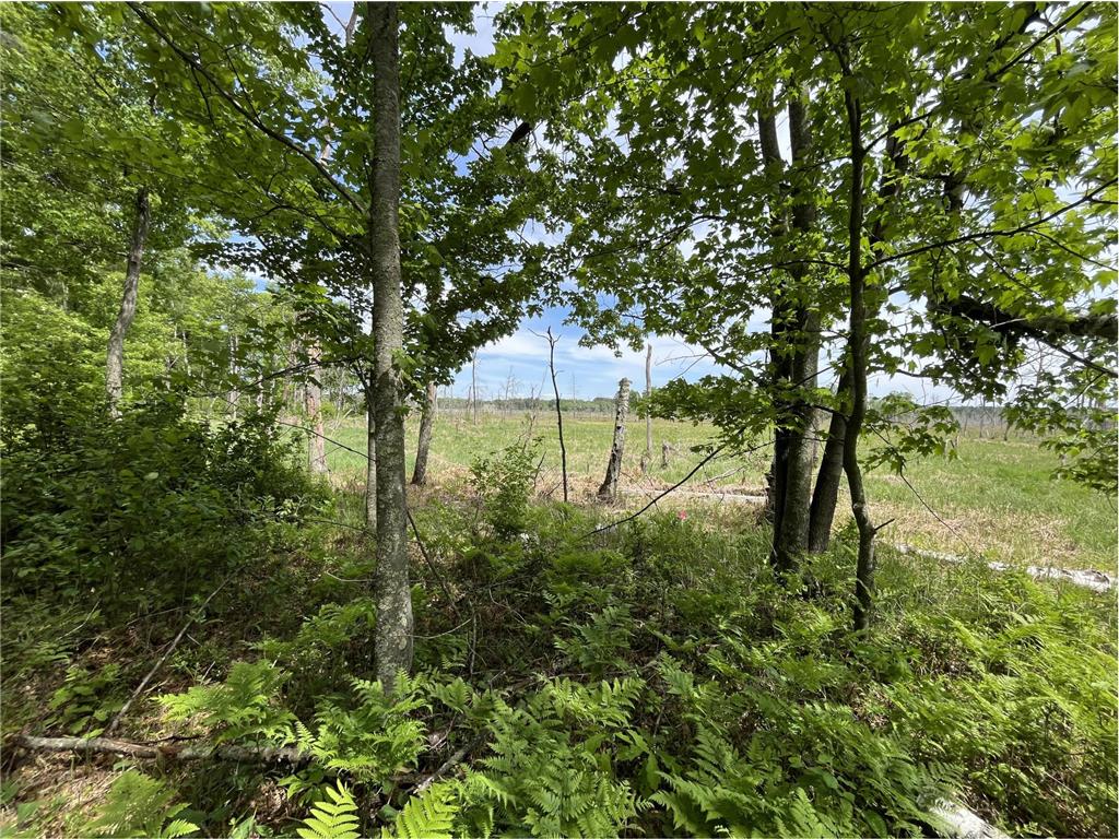 13384 Sorenson Lake Road Center Twp MN 56465 - Spider Lake 7085108 image21