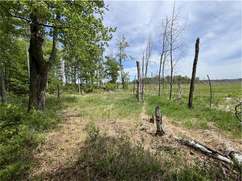 13384 Sorenson Lake Road Center Twp MN 56465 - Spider Lake 7085108 image22