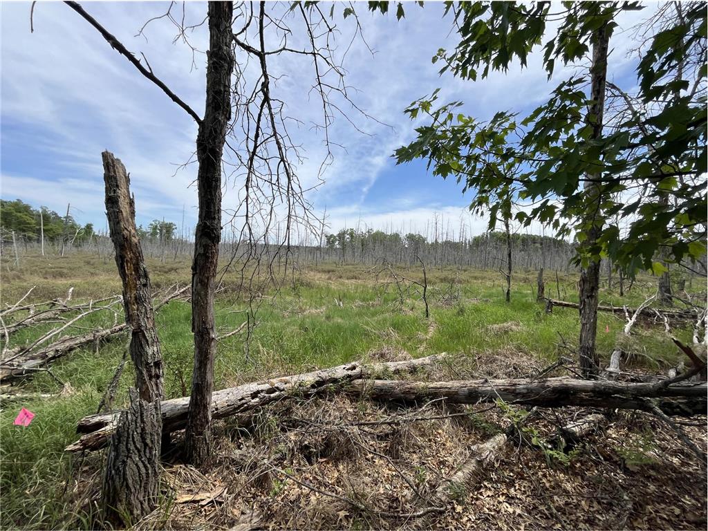 13384 Sorenson Lake Road Center Twp MN 56465 - Spider Lake 7085108 image23