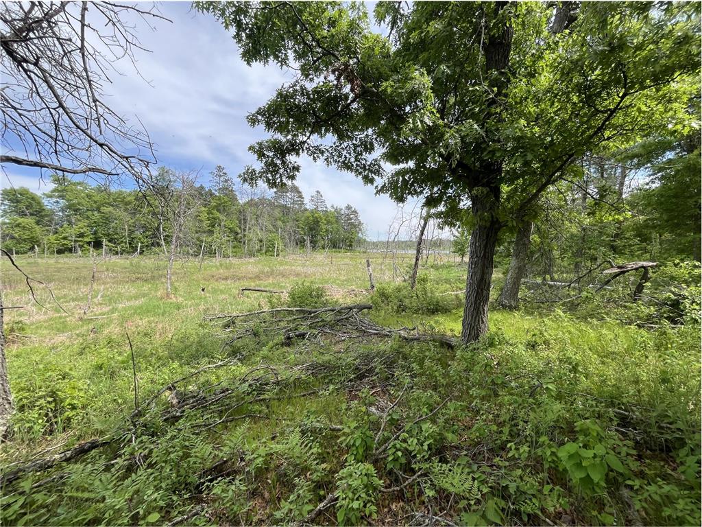 13384 Sorenson Lake Road Center Twp MN 56465 - Spider Lake 7085108 image24