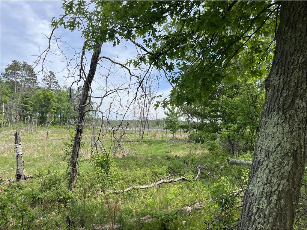 13384 Sorenson Lake Road Center Twp MN 56465 - Spider Lake 7085108 image26