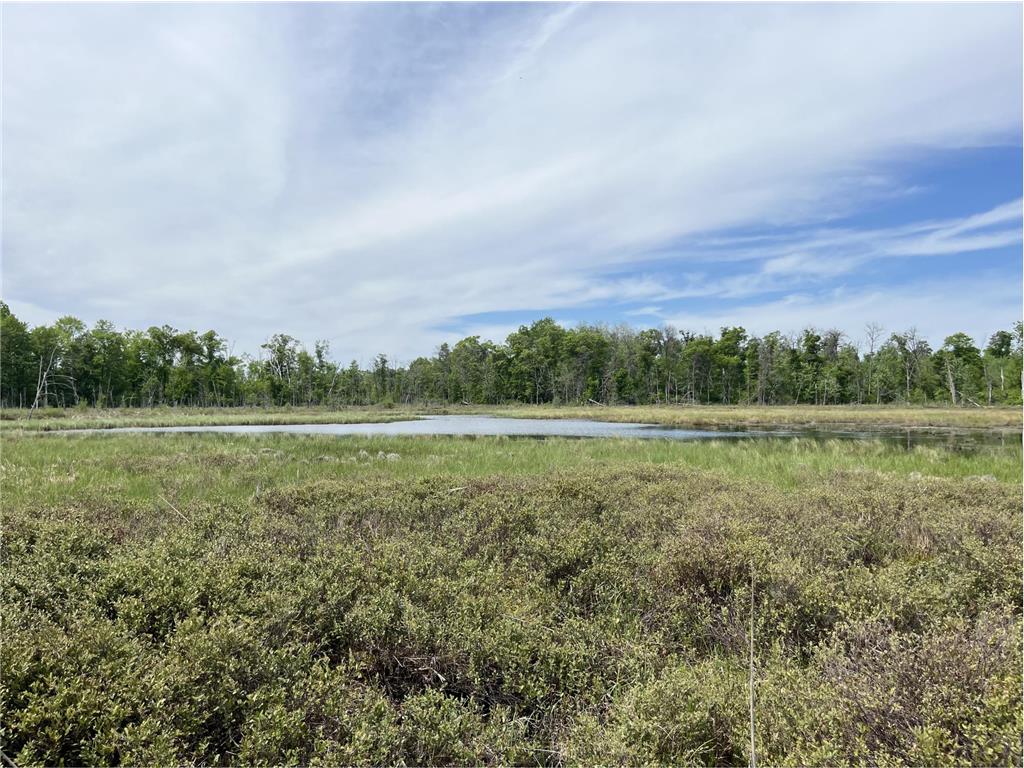 13384 Sorenson Lake Road Center Twp MN 56465 - Spider Lake 7085108 image28