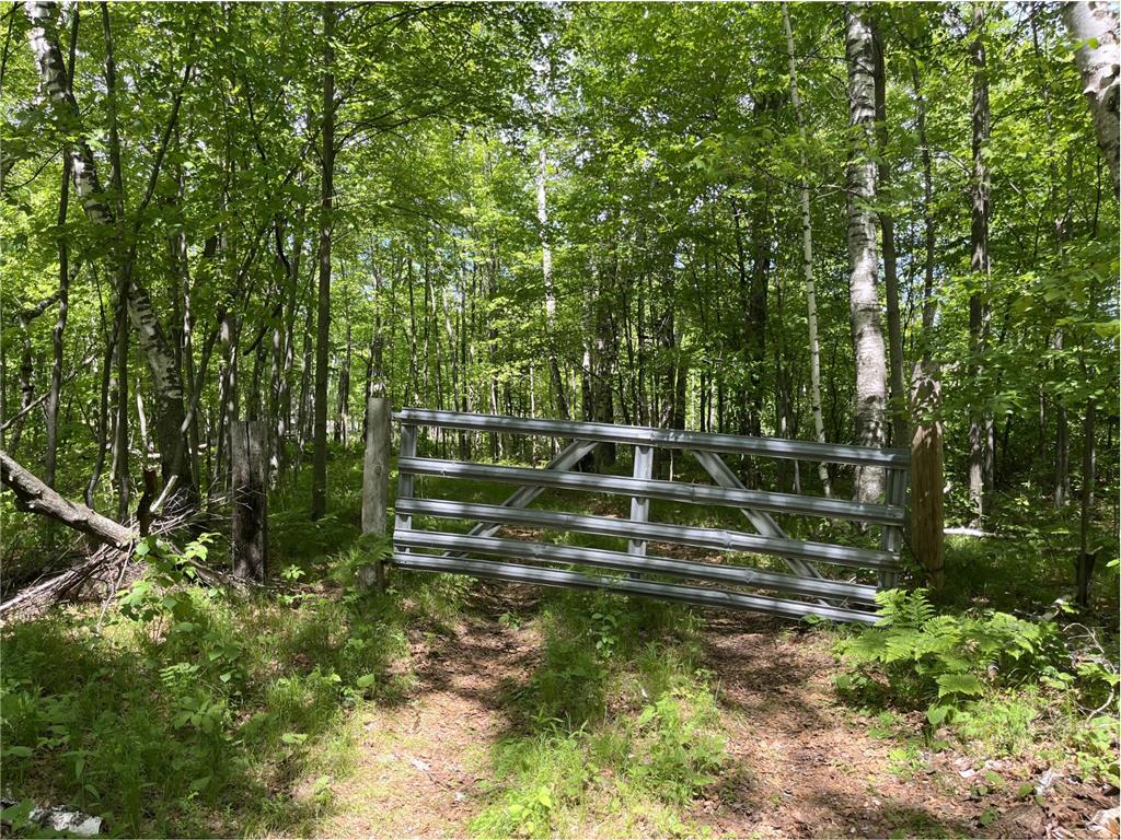 13384 Sorenson Lake Road Center Twp MN 56465 - Spider Lake 7085108 image3
