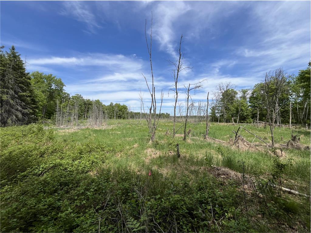 13384 Sorenson Lake Road Center Twp MN 56465 - Spider Lake 7085108 image31