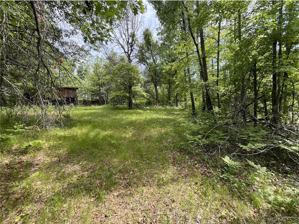 13384 Sorenson Lake Road Center Twp MN 56465 - Spider Lake 7085108 image32