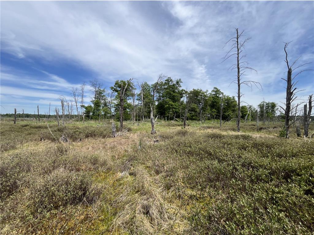 13384 Sorenson Lake Road Center Twp MN 56465 - Spider Lake 7085108 image34