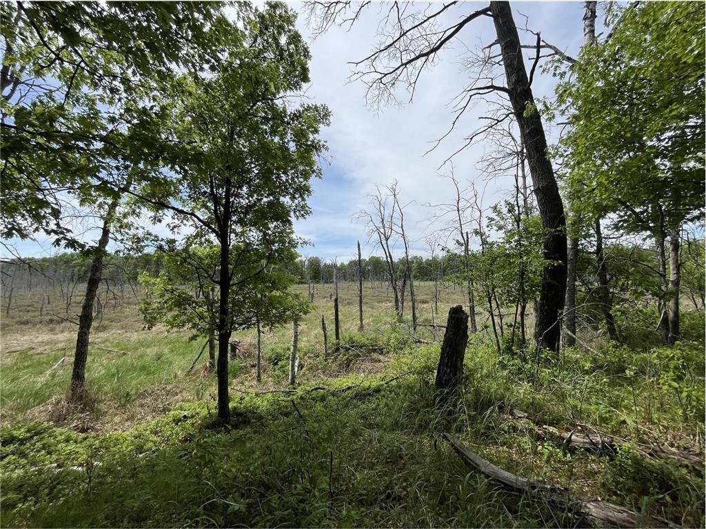 13384 Sorenson Lake Road Center Twp MN 56465 - Spider Lake 7085108 image35