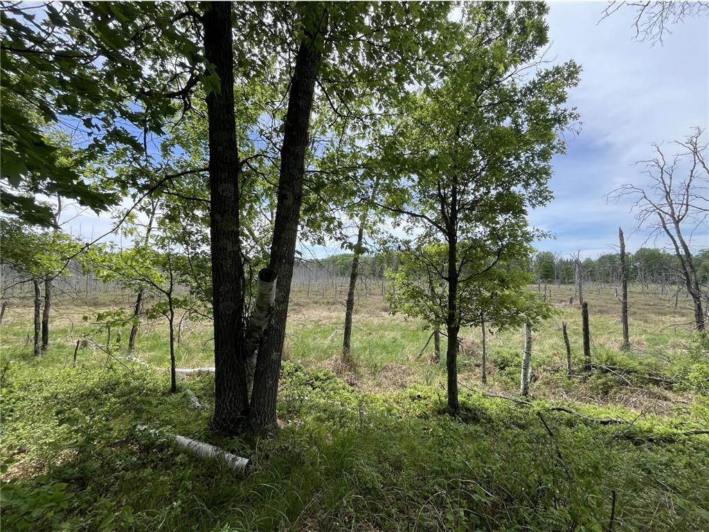 13384 Sorenson Lake Road Center Twp MN 56465 - Spider Lake 7085108 image36