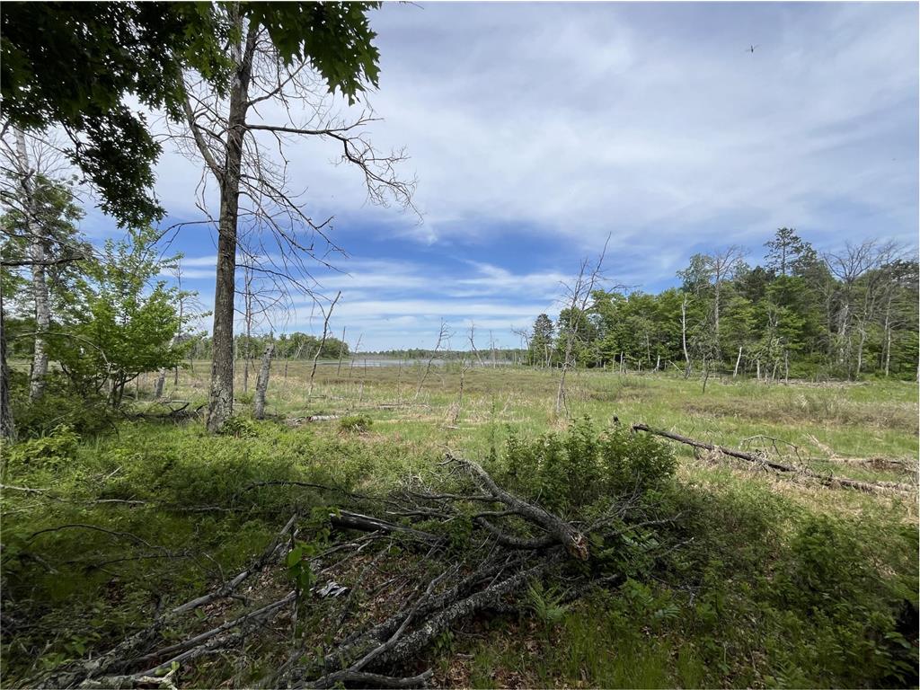 13384 Sorenson Lake Road Center Twp MN 56465 - Spider Lake 7085108 image37