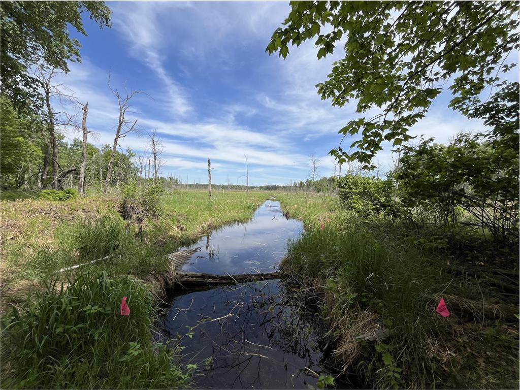 13384 Sorenson Lake Road Center Twp MN 56465 - Spider Lake 7085108 image8