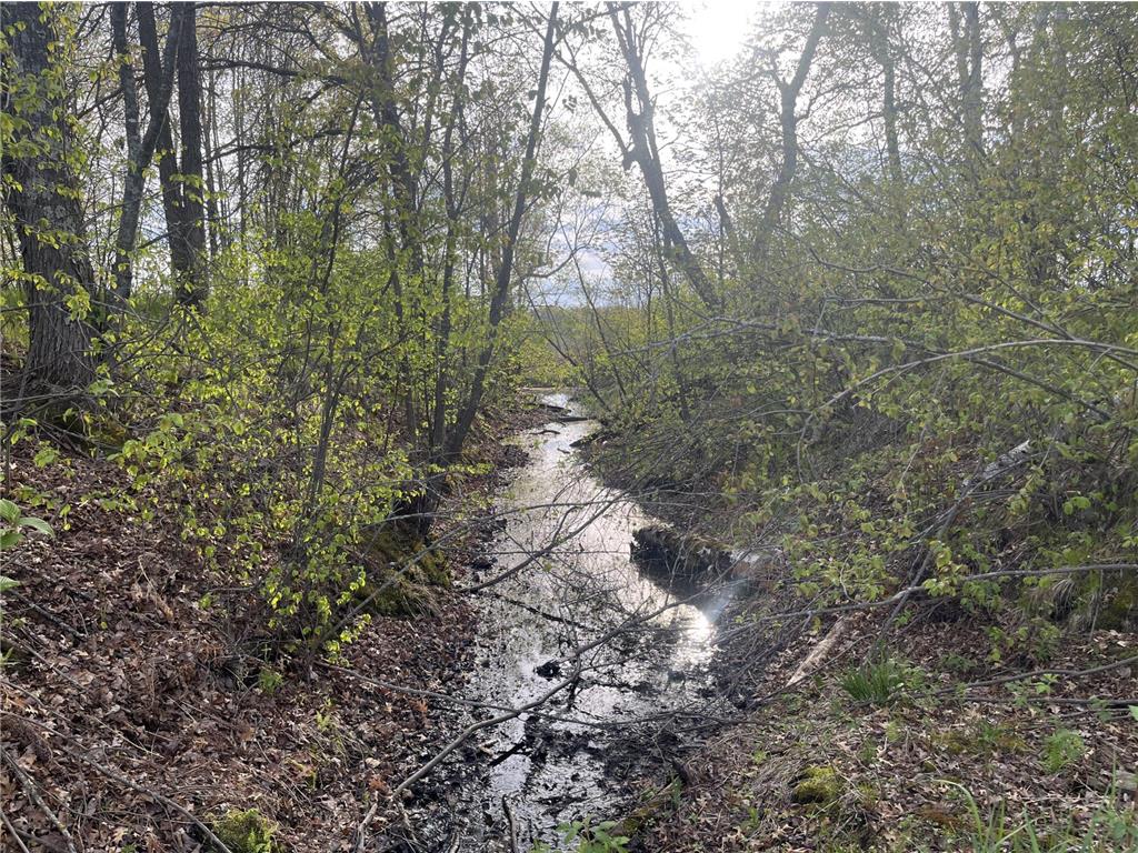 13384 Sorenson Lake Road Center Twp MN 56465 - Spider Lake 7085108 image9