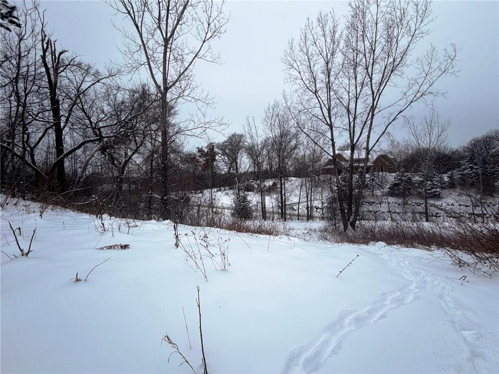 1339 Birch Park Ridge Saint Joseph Twp WI 54082 6826048 image1