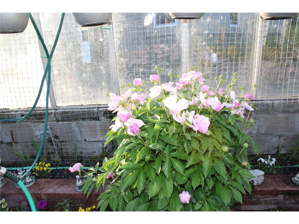 1339 Tom Lake Road Hovland MN 55606 - Tom 6730060 image136