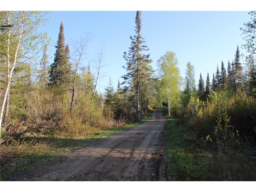 1339 Tom Lake Road Hovland MN 55606 - Tom 6730060 image89