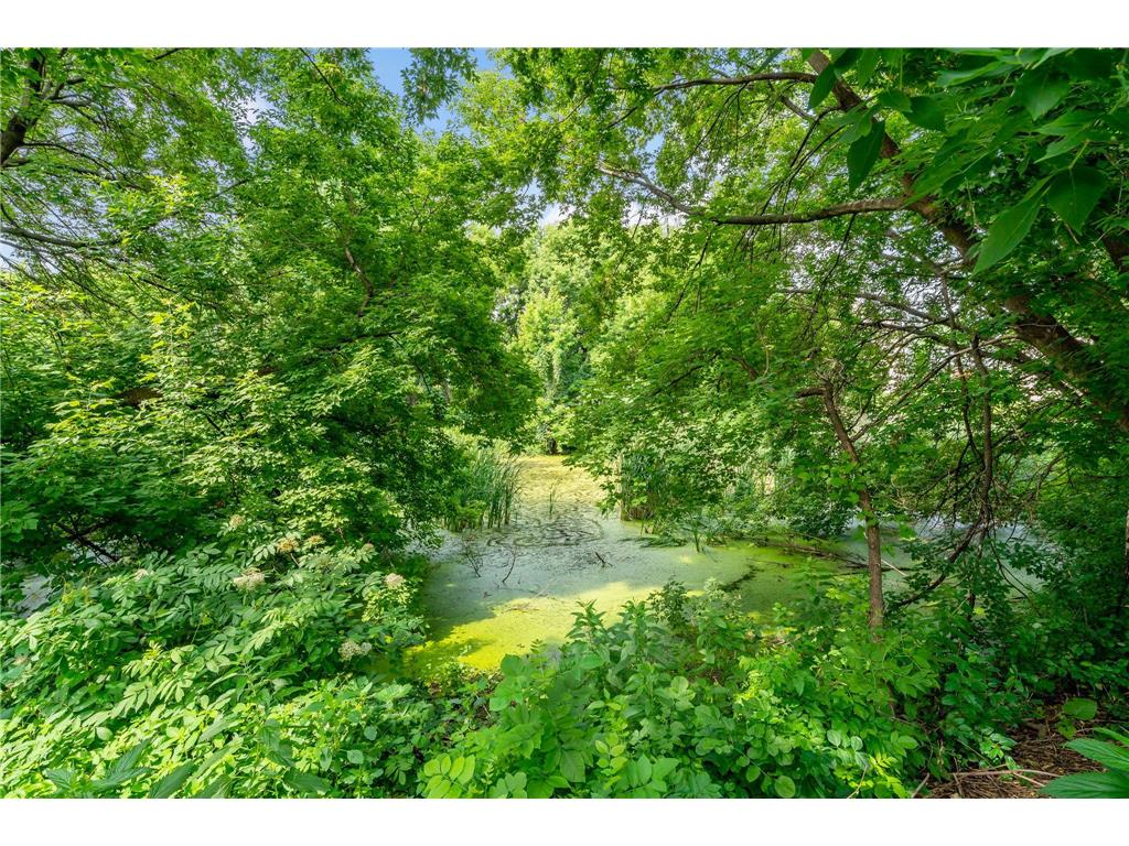 13392 Alabama Avenue S Savage MN 55378 7004549 image7