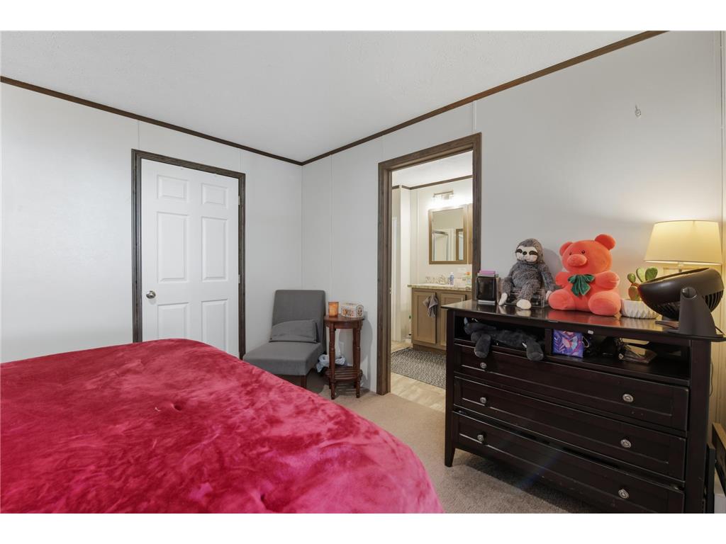 134 Anthony Drive #31 Lakeville MN 55044 6811486 image11