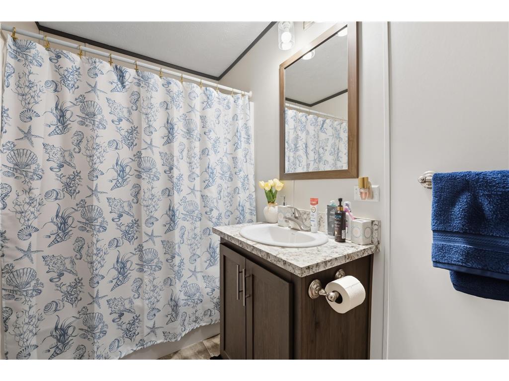 134 Anthony Drive #31 Lakeville MN 55044 6811486 image16