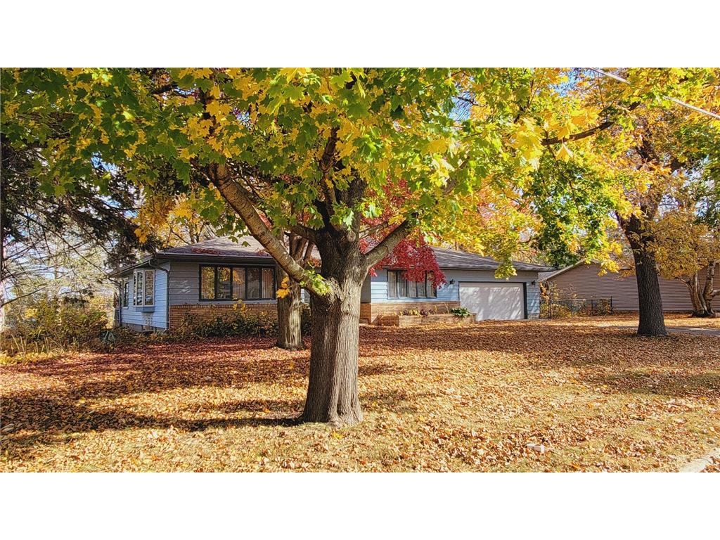 134 W 5th Street N Cottonwood MN 56229 6624014 image1