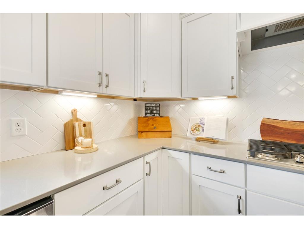 13404 Avila Avenue Rosemount MN 55068 6784958 image17